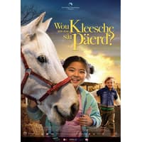 Thiltges WOU ASS DEM KLEESCHE SÄI PÄERD  DVD