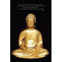 Pyramid - Buddha Maxi Poster