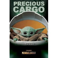 Star Wars: The Mandalorian - Precious Cargo Maxi Poster