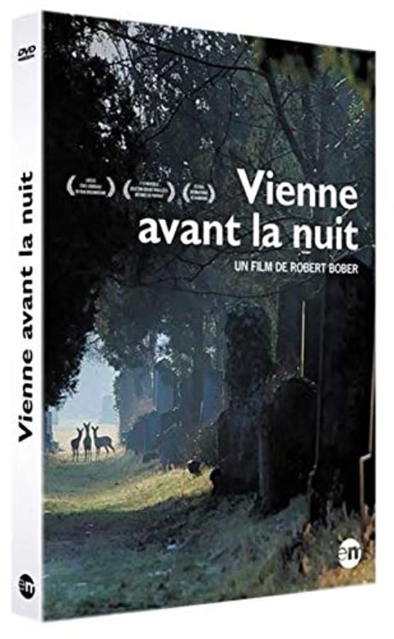 Vienne avant la nuit