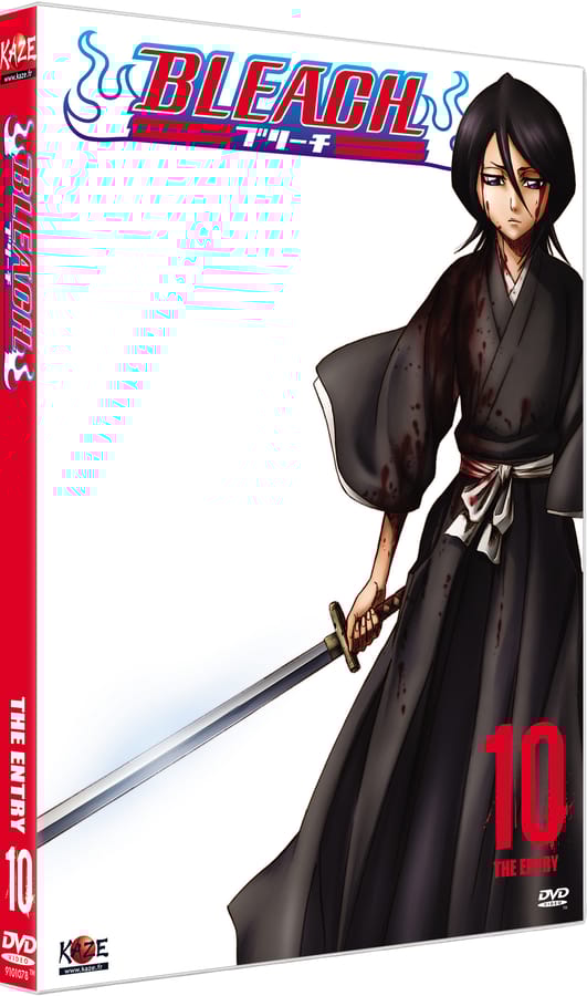 Bleach Vol.10
