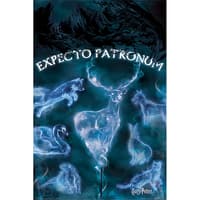 Pyramid International PL 43 - Harry Potter (Patronus) - Maxi Poster 91x61cm harry, potter Affischer, klistermärken och trycksaker