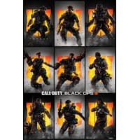 Pyramid International Call of Duty: Black Ops 4 - Personnages Maxi Poster call, of, duty Posters, Stickers et Impressions