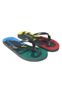 CERDÁ LIFE'S LITTLE MOMENTS Harry Potter - Hogwarts Houses Premium Flip-Flops - Size 43 harry, potter Andere Kleidung