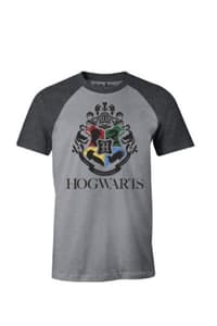 Cotton Division Harry Potter - Academic Hogwarts Grey Melange T-Shirt - XL harry, potter T-Shirt