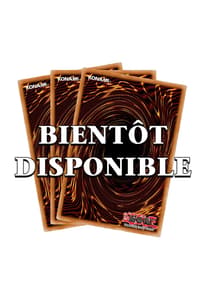 Konami Yu-Gi-Oh! JCC - Display de Decks de Structure : Yugi Muto (8 Decks) - FR yu, gi, oh Yu-Gi-Oh! TCG