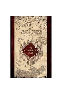 Pyramid International PL 45 - Harry Potter (The Marauders Map) - Maxi Poster 91x61cm harry, potter Pósteres, adhesivos e impresiones