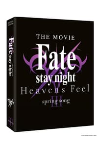 Madistribution Fate/Stay Night : Heaven's Feel - Film 3 : Spring Song (Édition Collector Blu-ray + DVD)  BLU-RAY DVD COMBO