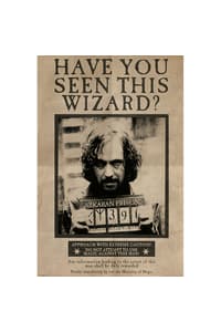 Pyramid International PL 44 - Harry Potter (Wanted Sirius Black) - Maxi Poster 91x61cm harry, potter Poster, Sticker und Drucke