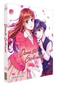Kana Home Video Domestic Girlfriend - Love X Dilemma - Saison intégrale  BLU-RAY BOX
