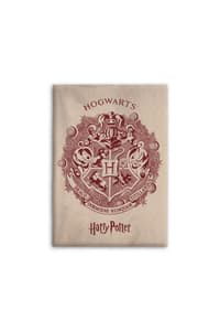 AyMax Harry Potter - Manta Flanel (110x150cm) harry, potter Vajilla y menaje del hogar