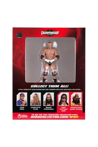 Eaglemoss Collections WWE - Triple H 1:16 Figur wwe Figuren und Repliken