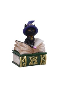 Nemesis Now Nemesis Now - Binx Piccola Strega Familiare Gatto Nero e Scatola del Libro degli Incantesimi Figura da Collezione 11cm Nemesis, Now Figurer och repliker