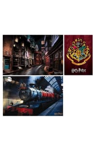 Pyramid International Display Maxi Posters Harry Potter X60 harry, potter Posters, Stickers en Printing