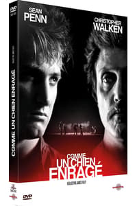 Carlotta Comme un chien enragé  DVD