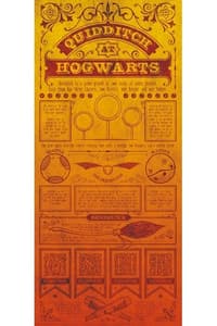 Fanattik Harry Potter - Poster Lithographie Quidditch harry, potter Poster, Sticker und Drucke