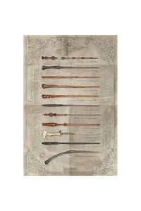 Pyramid International PL 41 - Harry Potter (The Wand Chooses The Wizard) - Maxi Poster 91x61cm harry, potter Poster, Sticker und Drucke