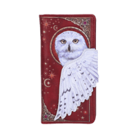 Nemesis Now Nemesis Now - Porte-monnaie en relief Vol Magique 18.5cm none Portefeuille et Porte-monnaie