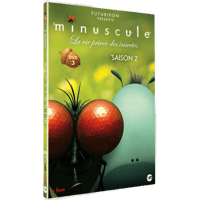 Editions Montparnasse Minuscule: la Vie privée des Insectes - Saison 2 DVD 3  DVD