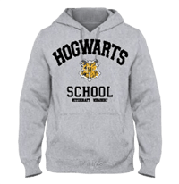 Cotton Division Harry Potter - Hogwarts School Sweat à capuche gris pour hommes - S harry, potter Hoodies et Sweat