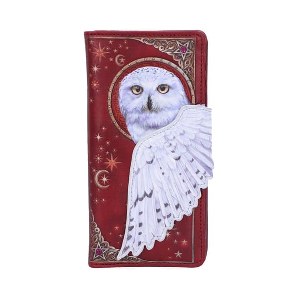 Nemesis Now - Magical Flight Embossed Purse 18.5cm