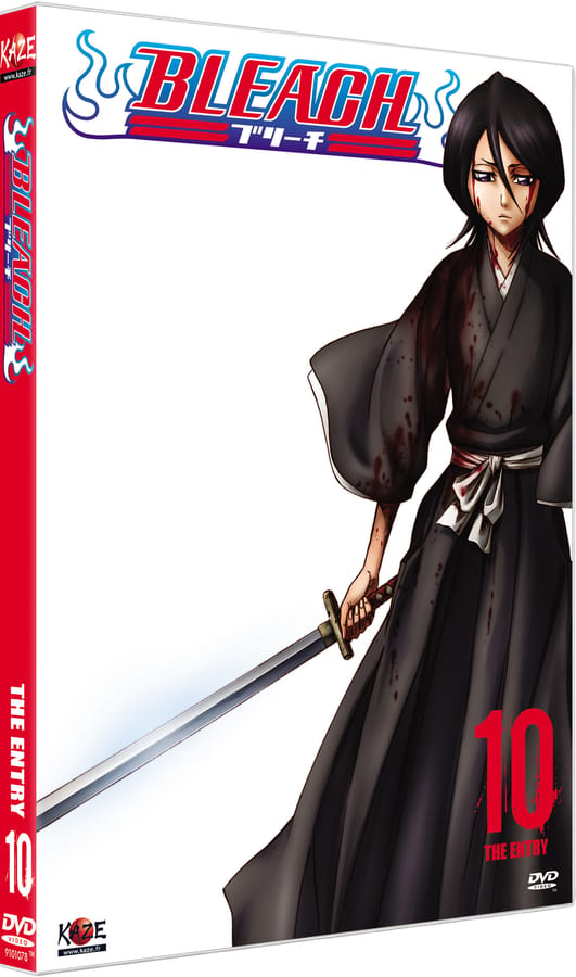 Bleach Vol.10