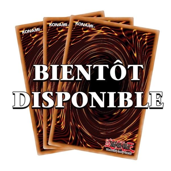 Yu-Gi-Oh! JCC - Display de Decks de Structure : Seto Kaiba (8 Decks) - FR