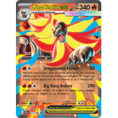Mega Némélios ex 015 Chaos Ascendant - Mega Pyroar ex  - Cartes