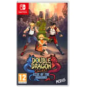 Double Dragon Gaiden : Rise Of The Dragons