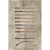 PL 41 - Harry Potter (The Wand Chooses The Wizard) - Maxi Poster 91x61cm