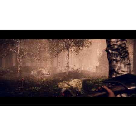 Project Songbird - PS5 - 12