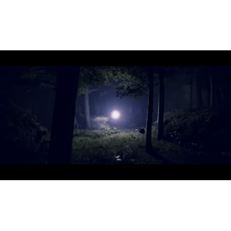 Project Songbird - PS5 - 5