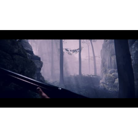 Project Songbird - PS5 - 9