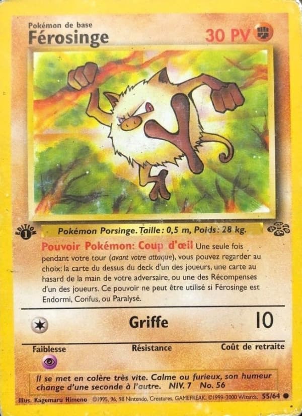 Férosinge 055 Wizards Jungle