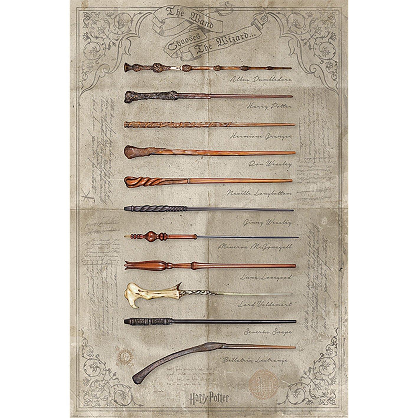 PL 41 - Harry Potter (The Wand Chooses The Wizard) - Maxi Poster 91x61cm